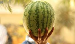 娱乐圈可以吃瓜,揭秘明星幕后故事，一起吃瓜！